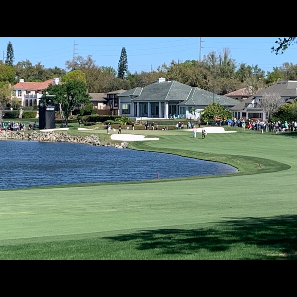 Meet your Posher, Brett